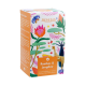 TE ROOIBOS Y JENGIBRE X 25 SAQ HEREDIA