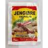JENGIBRE EN POLVO X 10 GR. PRODUCTOS IMPORTADOS Y NACIONALES