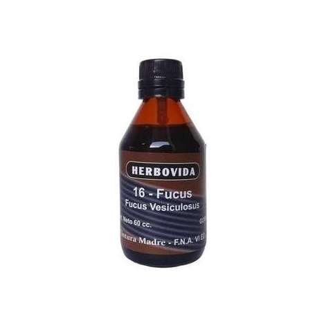 TINTURA MADRE FUCUS X 60 CC DASIPA
