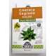 CASCARA SAGRADA + ALOE BLISTER X 20 YUYO INCAICO