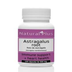 ASTRAGALUS ROOT X 30 CAPS. NATURAL PLUS