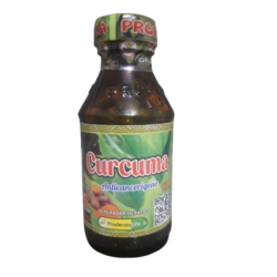 CURCUMA X 90 GR. PRODENZA-PRODUCTOS IMPORTADOS Y NACIONALES