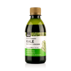 JUGO DE KALE + MATCHA + JENGIBRE X 500 CC NATIER