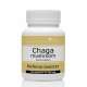 HONGO CHAGA X 30 CAPS. NATURAL PLUS