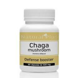 HONGO CHAGA X 30 CAPS. NATURAL PLUS