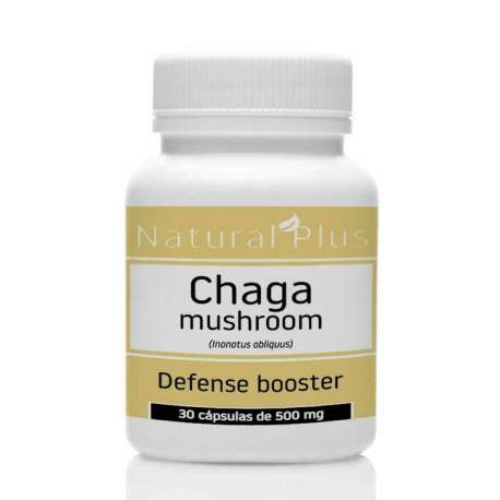 HONGO CHAGA X 30 CAPS. NATURAL PLUS