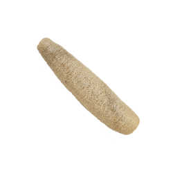 ESPONJA VEGETAL X 1 UNID