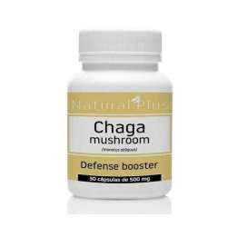 HONGO CHAGA X 30 CAPS. NATURAL PLUS