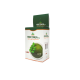 MORINGA BLISTER X 100 CAPS. PGN
