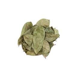HOJA DE GRAVIOLA X 20 GR PROD.IMPORTADO