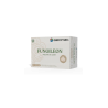 FUNGILEON MELENA DE LEON X 60 CAPS.  PROVEFARMA-GEONAT
