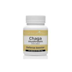 HONGO CHAGA X 30 CAPS. NATURAL PLUS