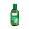 FITOSHAMPOO HIDRATANTE DE ALOE VERA X 250 ML. WELEDA