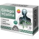 GINKGO + COLINA X 30 CAPS YUYO INCAICO