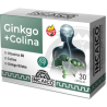 GINKGO + COLINA X 30 CAPS. INCAICO