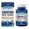 AMPK CREATINA HCL  X 60 CAPS. FRAMINGHAM.